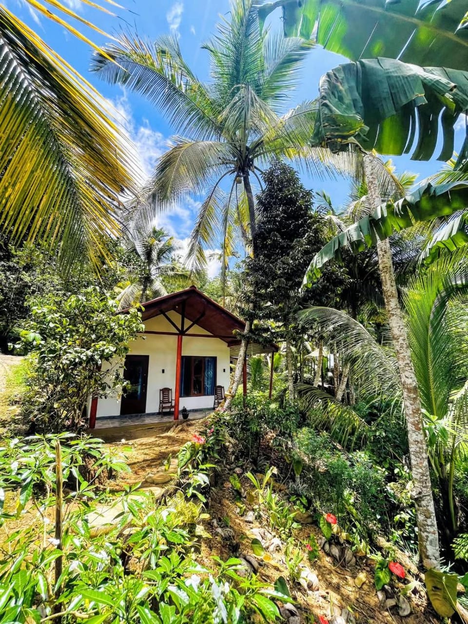 Rainforest Soul Villa Hotel in Southern Province