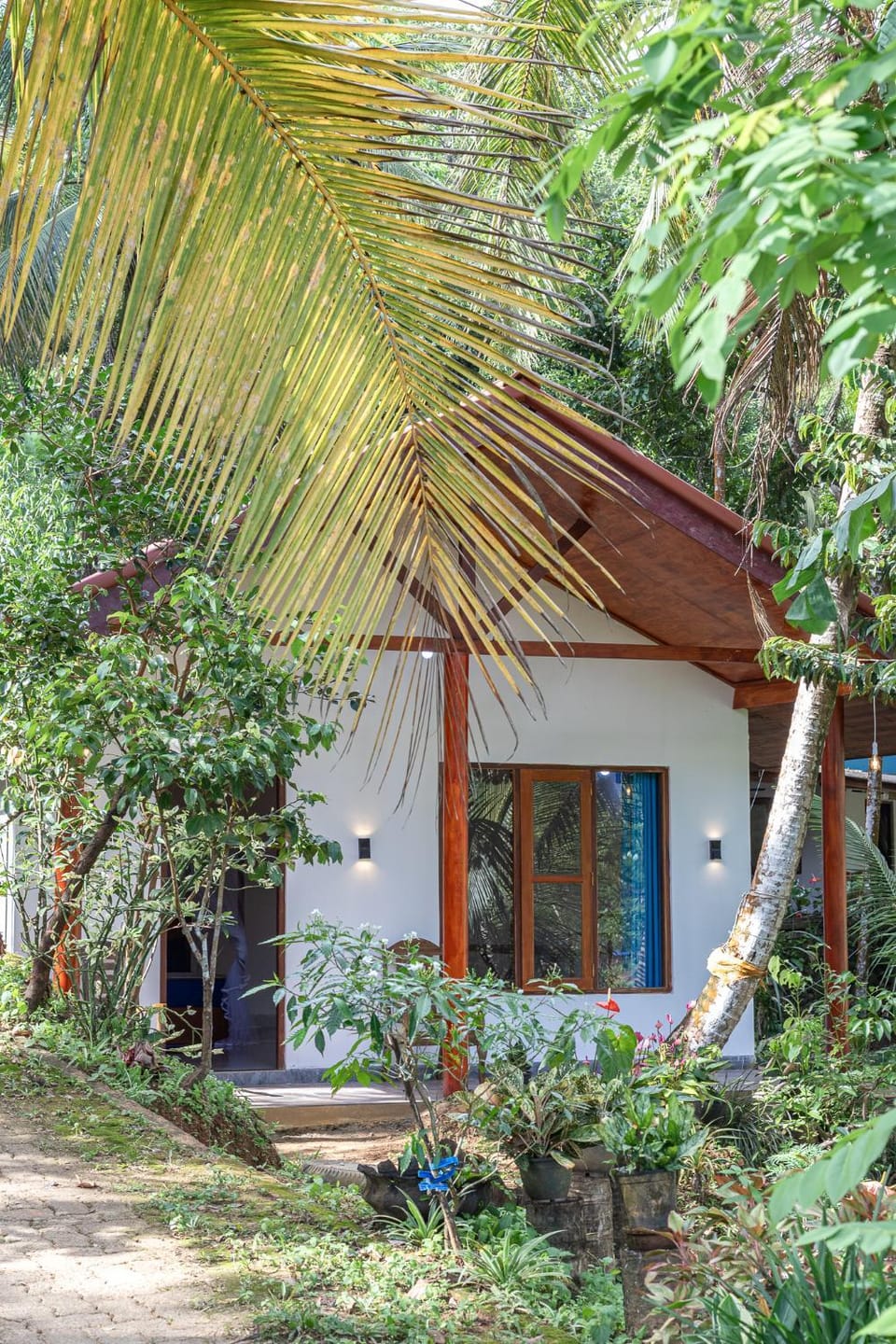 Property building, Day, Garden