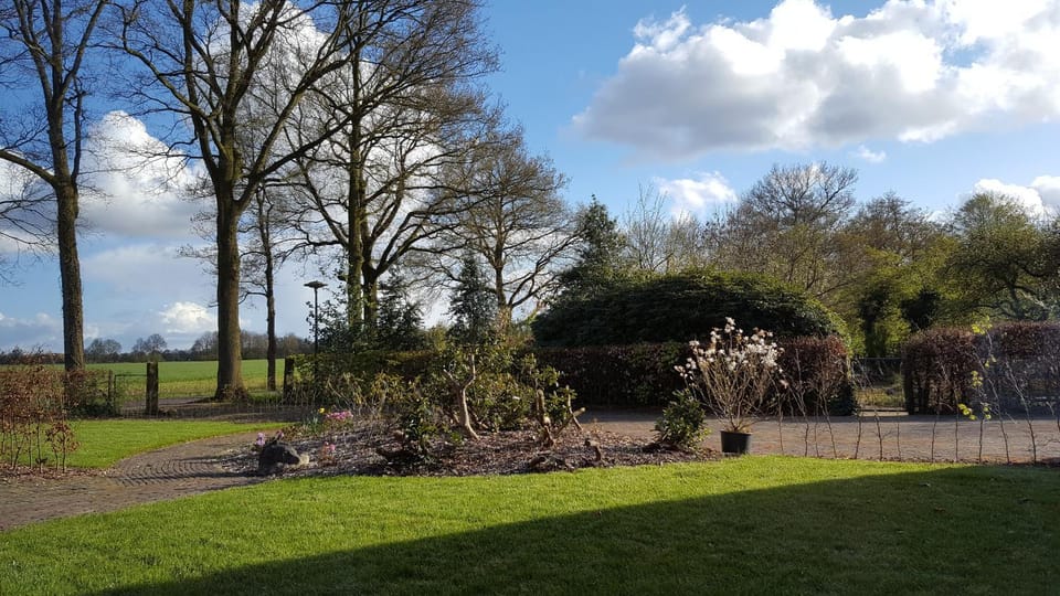 Spring, Garden view