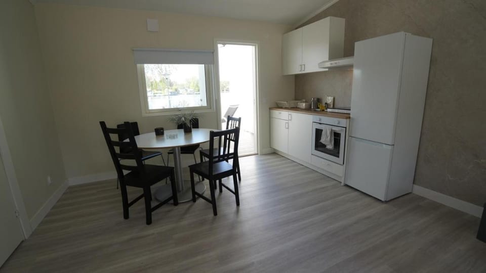 Kitchen or kitchenette, Dining area, oven, stove