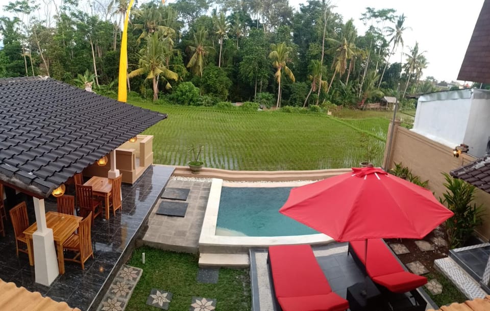 Natural landscape, Swimming pool