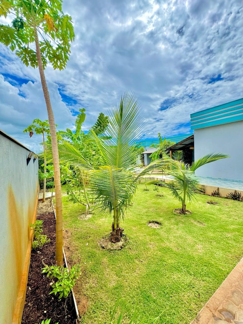Garden view