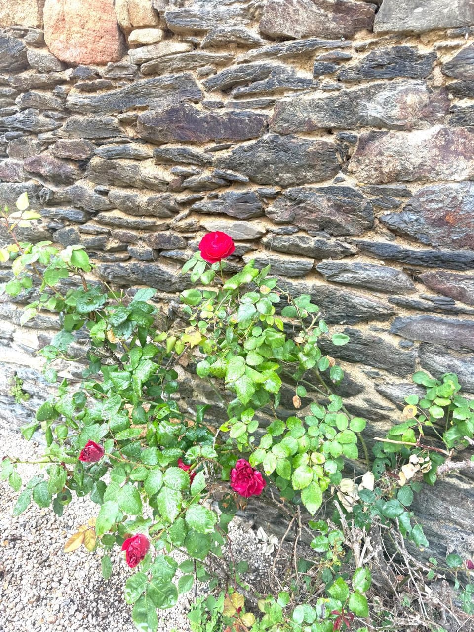Escapade bretonne House in Landerneau