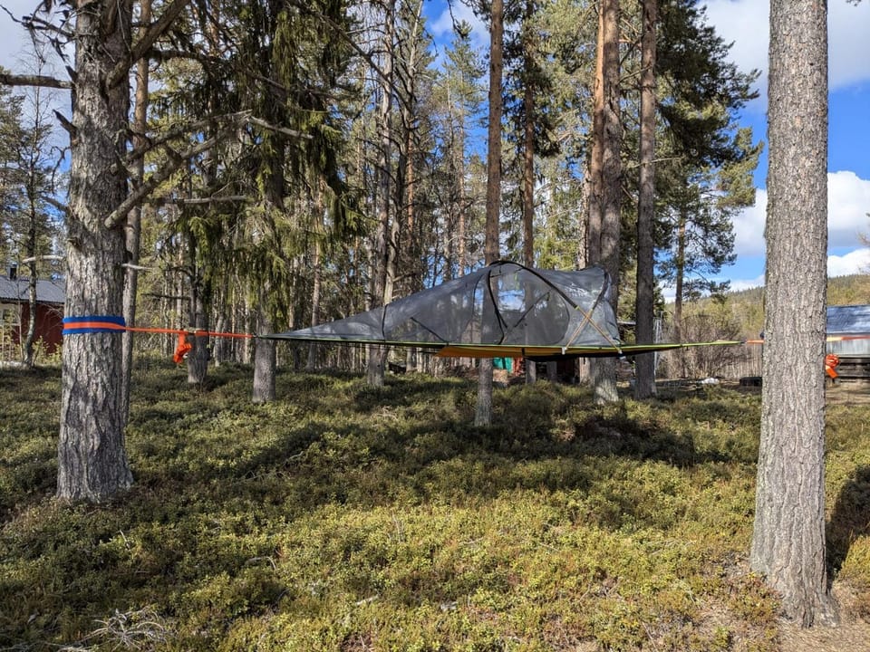 The special experience - Treetent Bed and Breakfast in Norrbotten County, Sweden