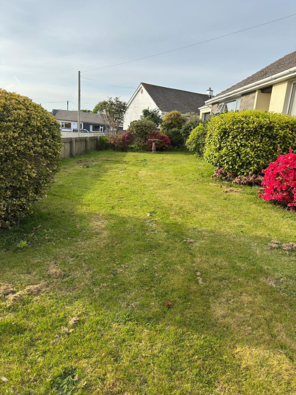 House 5 by Gutu House in Redruth