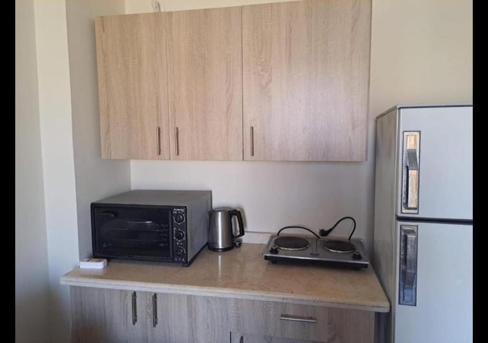 Restaurant/places to eat, Coffee/tea facilities, Kitchen or kitchenette, minibar, oven, stove