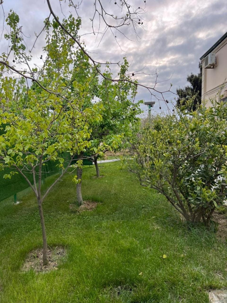 Off site, Garden