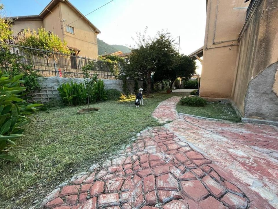 Property building, Garden