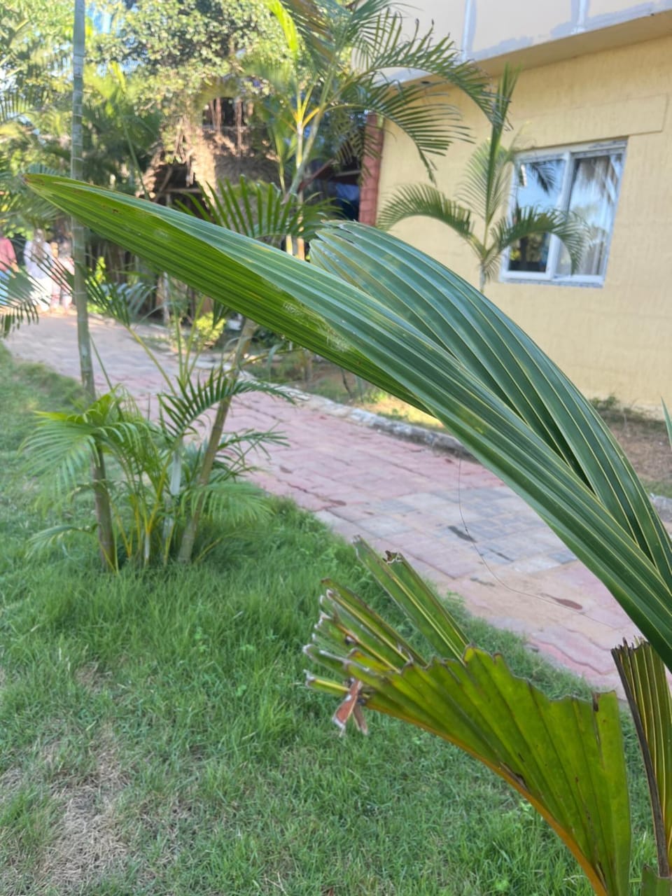 grand oceana resort Resort in Tamil Nadu