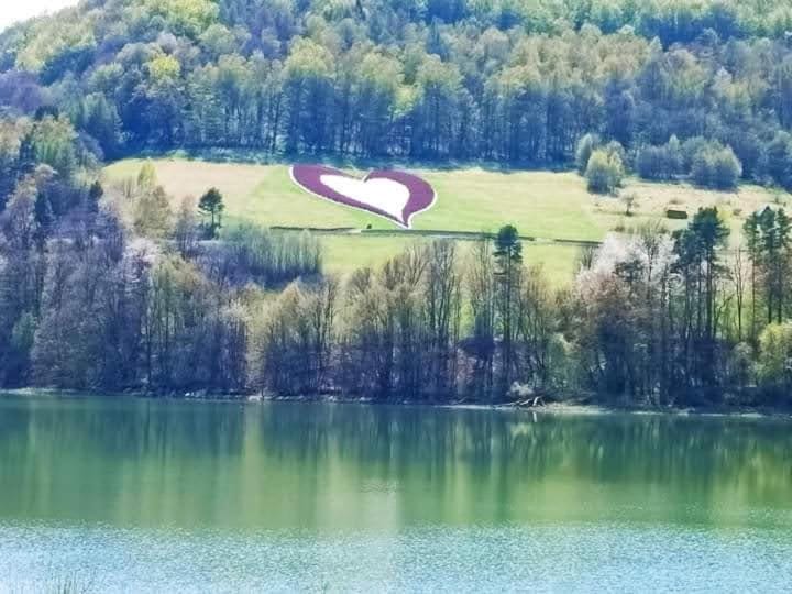 Noclegi Renata Nature lodge in Slovakia