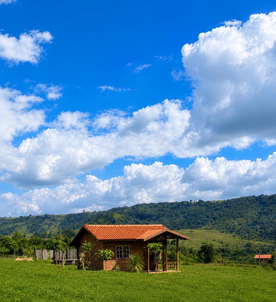 Spring, Natural landscape, Mountain view