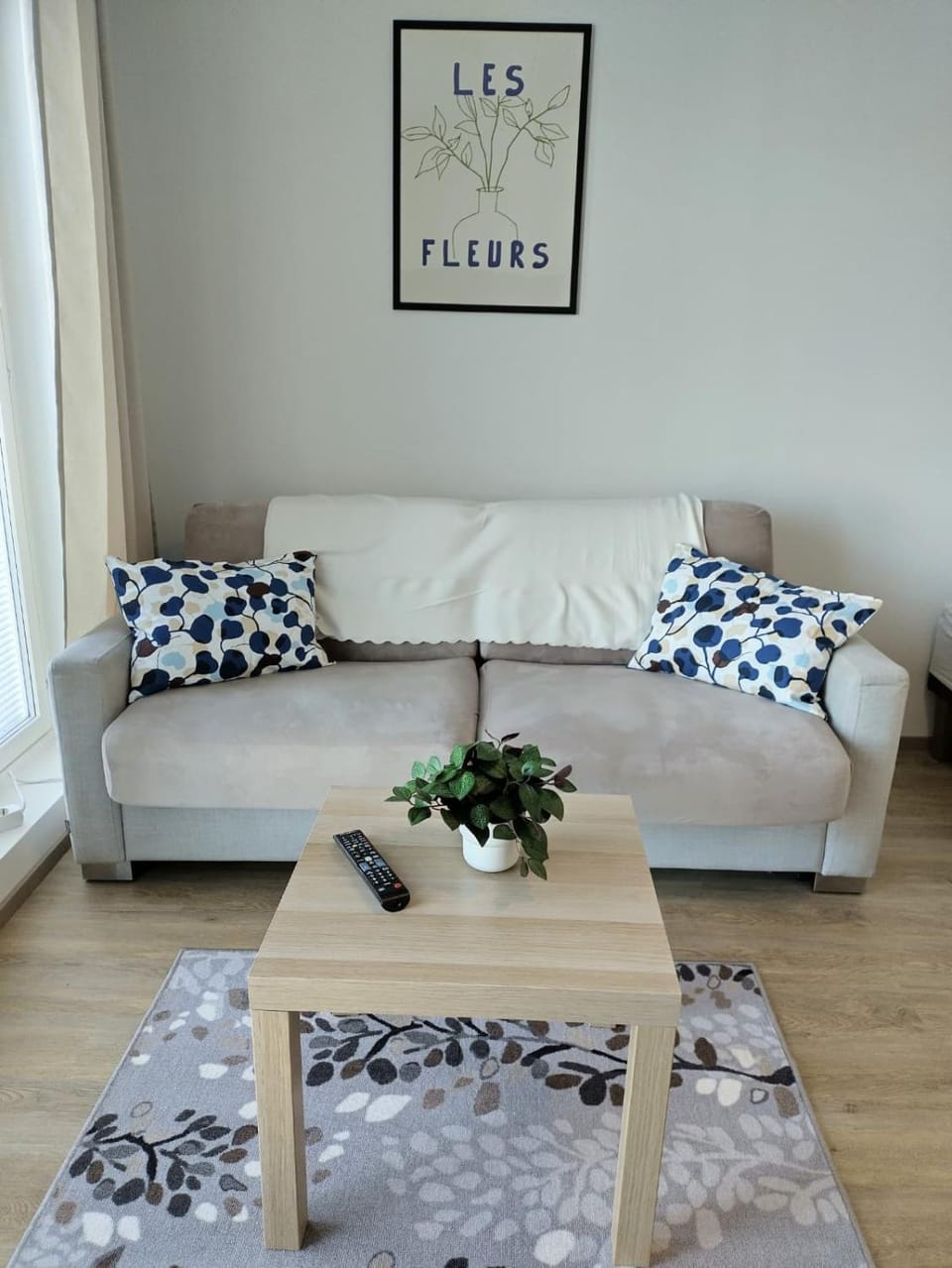 Living room, Photo of the whole room, Decorative detail, Seating area