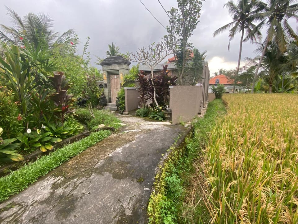 Lumbung Sedana Bed and Breakfast in Payangan