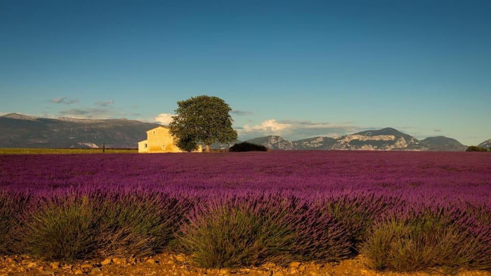 Villa Lelix Peaceful winter escape in Provence Villa in Carpentras