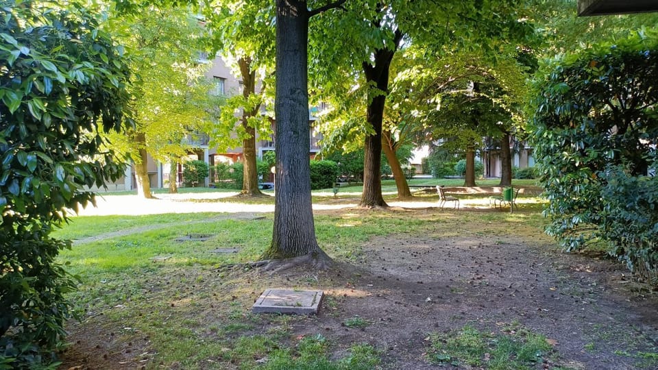 Garden view