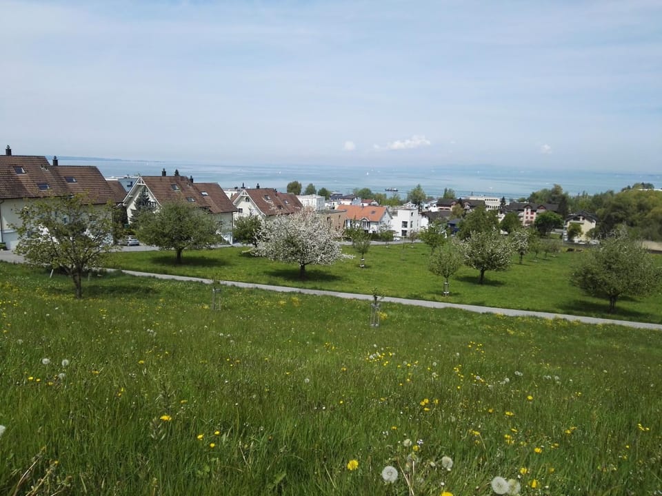 Day, Garden, Sea view