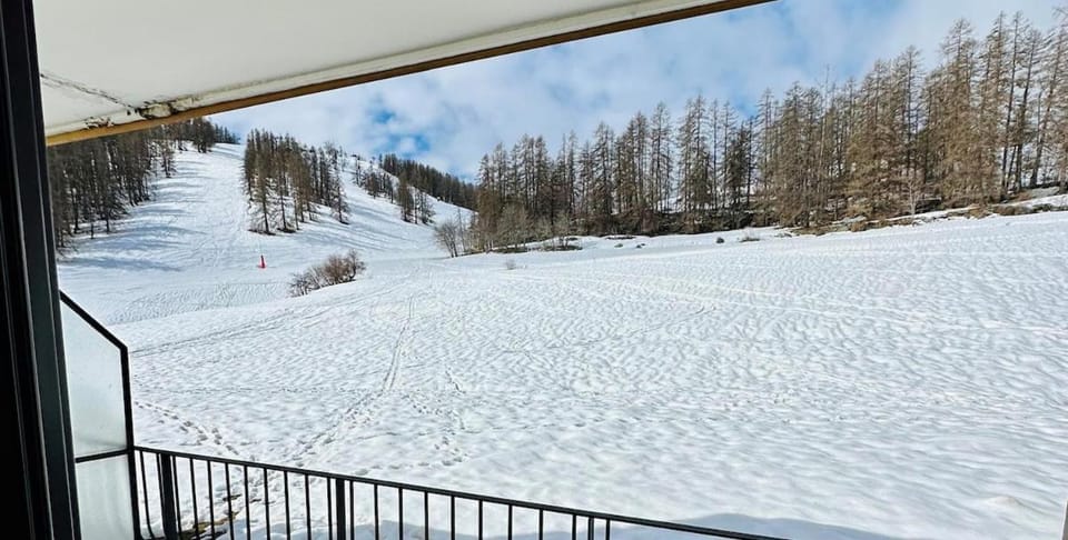 Le Green Studio Valberg 3 personnes Apartment in Provence-Alpes-Côte d'Azur