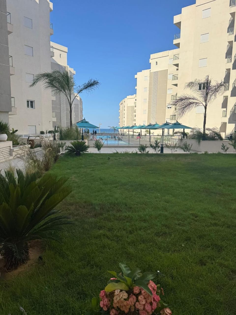 View (from property/room)