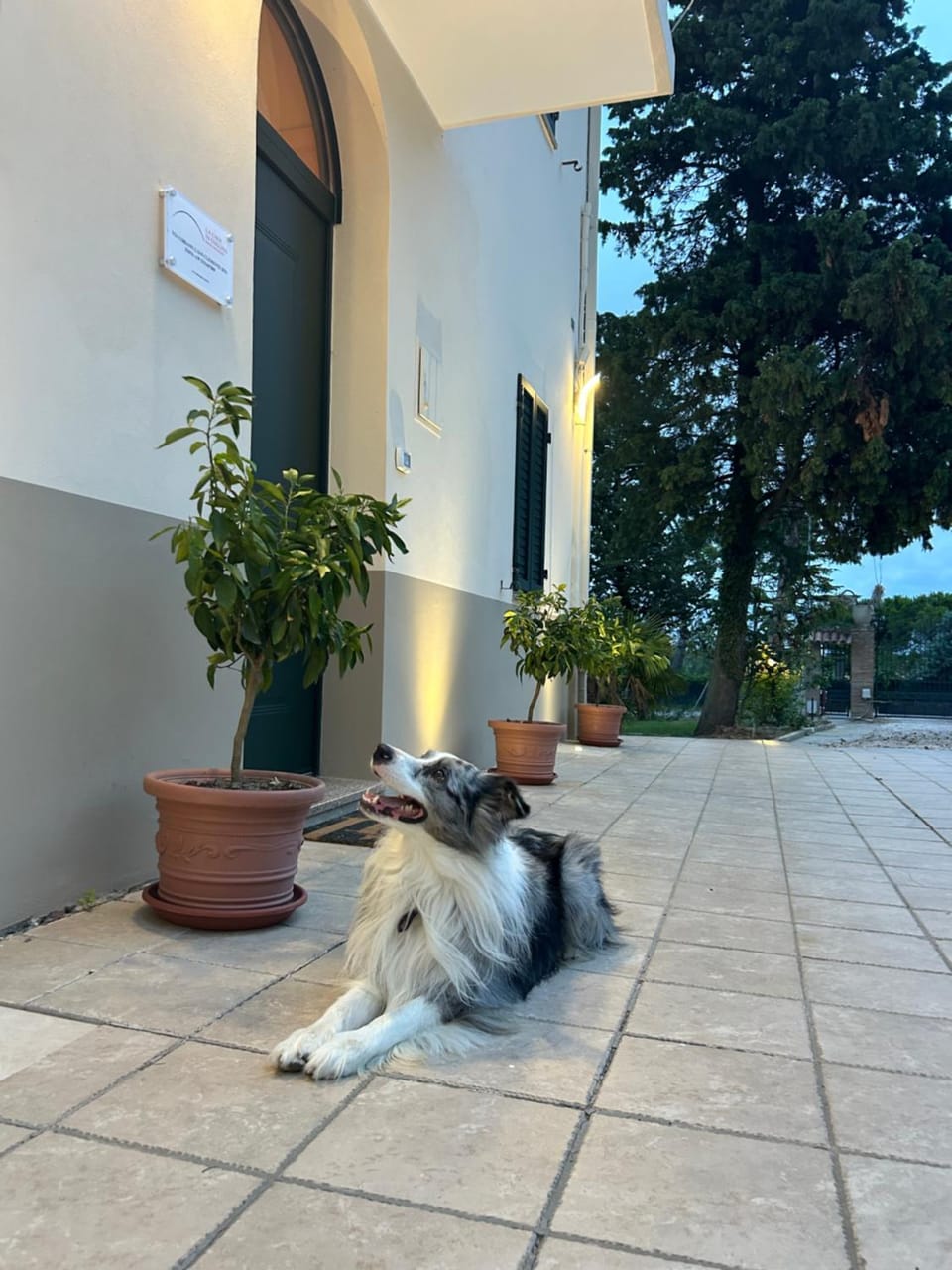La Casa in Collina - Affittacamere Bed and Breakfast in Emilia-Romagna
