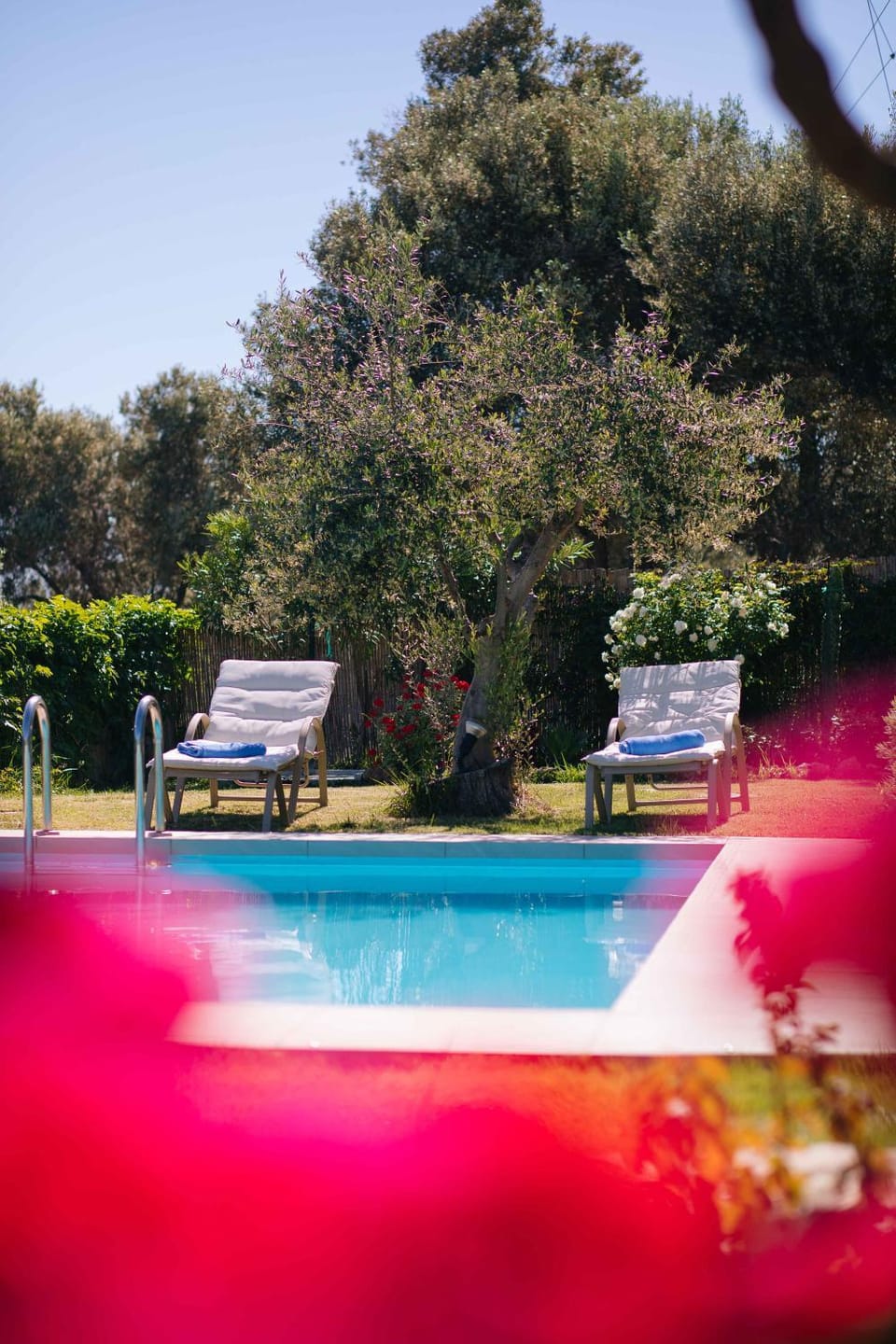 Garden, Garden view, Pool view, Swimming pool, sunbed