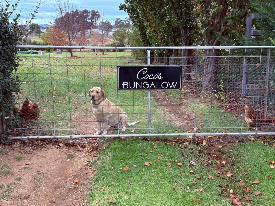 Property logo or sign, Lobby or reception, Pets