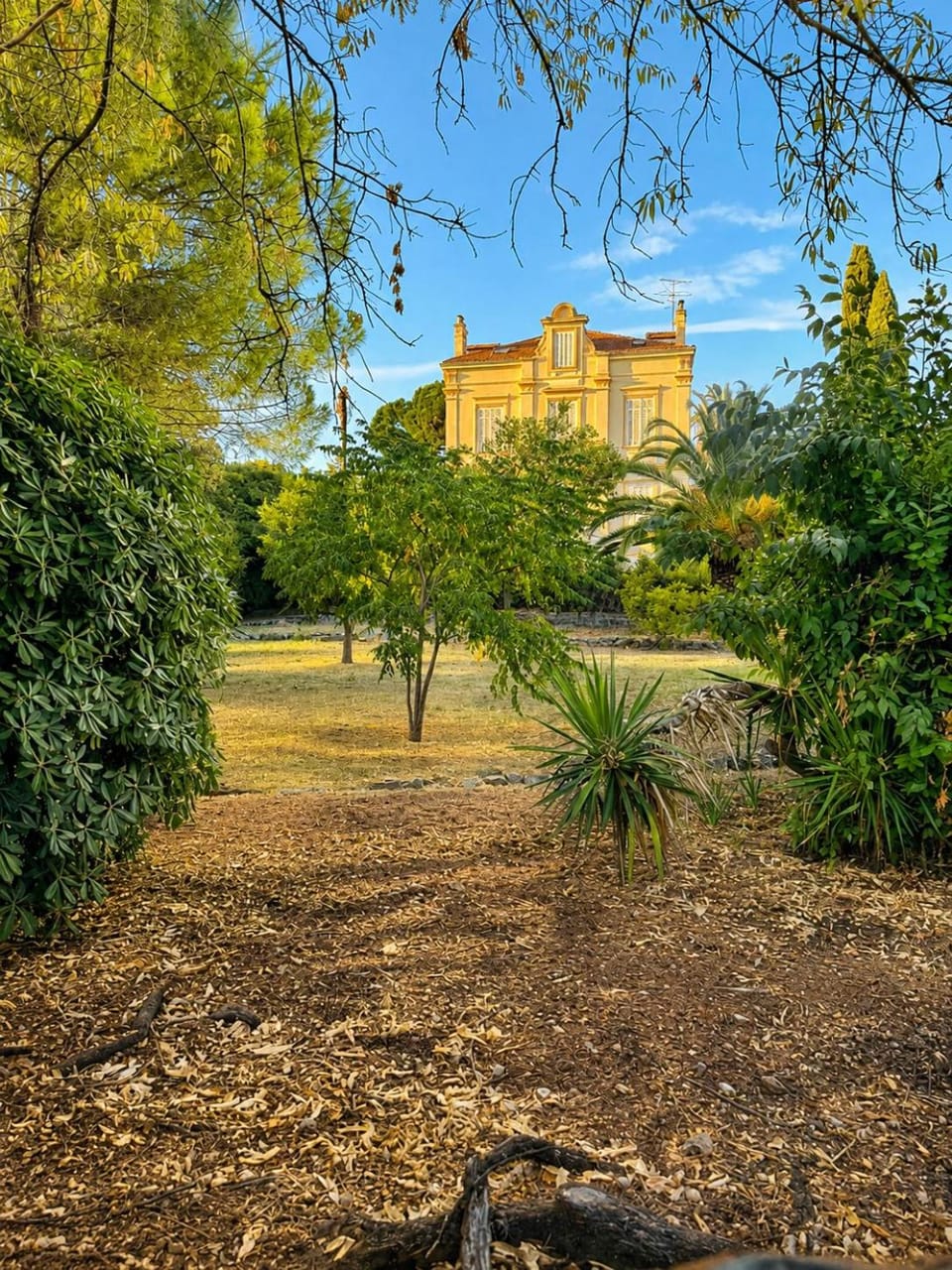 Oasis Secrète à Cannes - Prestigieuse Villa Historique Jardin Ombragé Centre et Plages à Pied Apartment in Cannes