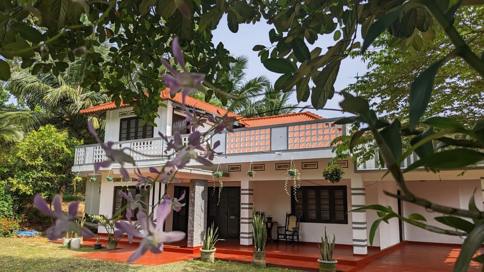 Property building, Garden, Garden, Garden view