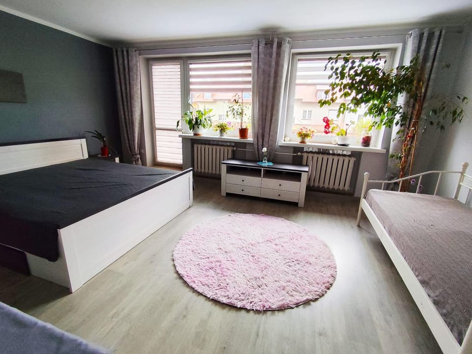 Bed, Living room, Photo of the whole room, Bedroom