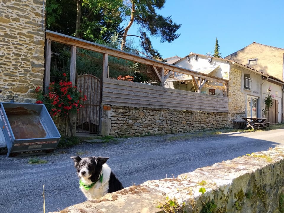 Relaxing Gite aux fil de l'eau House in Occitanie