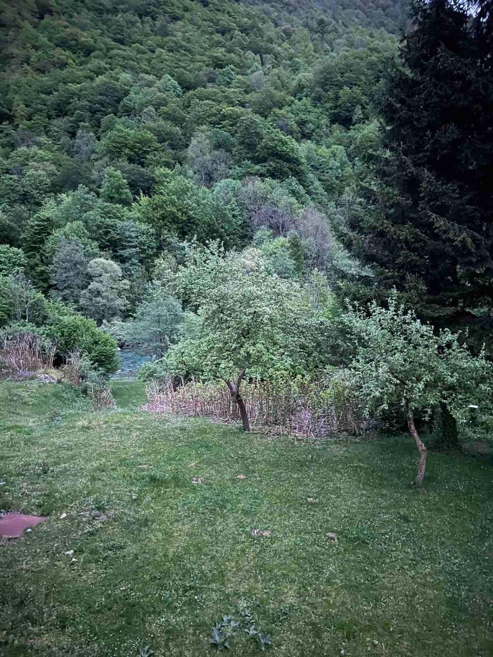 Motel Tara Apartment in Montenegro