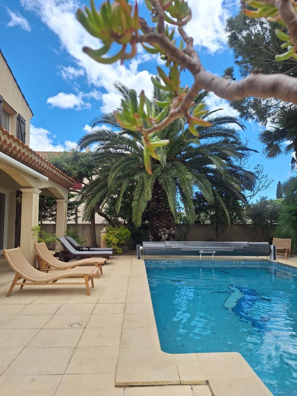 Patio, Pool view, Swimming pool, sunbed