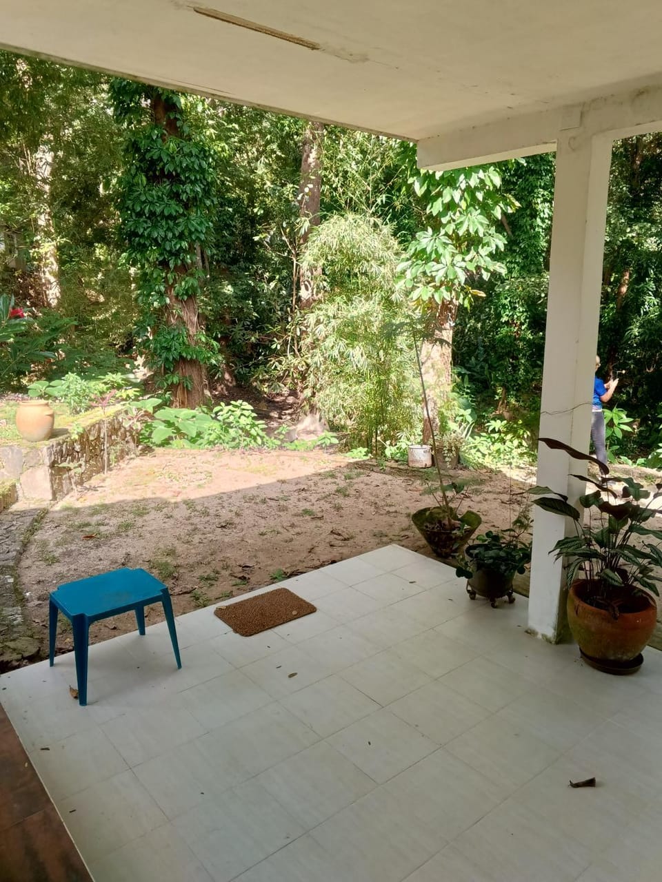 Cómoda y espaciosa habitación rodeada de naturaleza Vacation rental in Venezuela