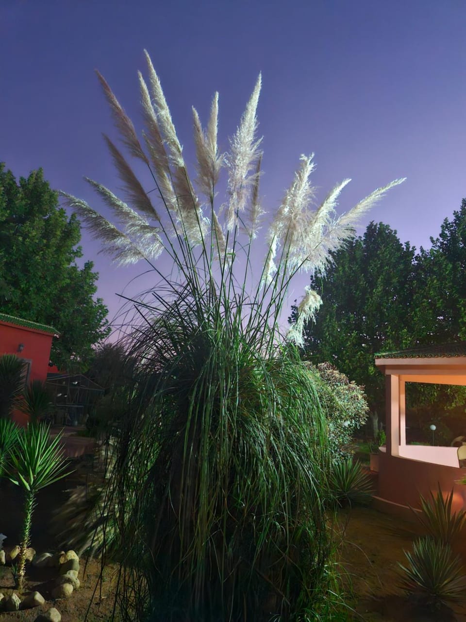 Casa Sofia Farm Stay in Meknes