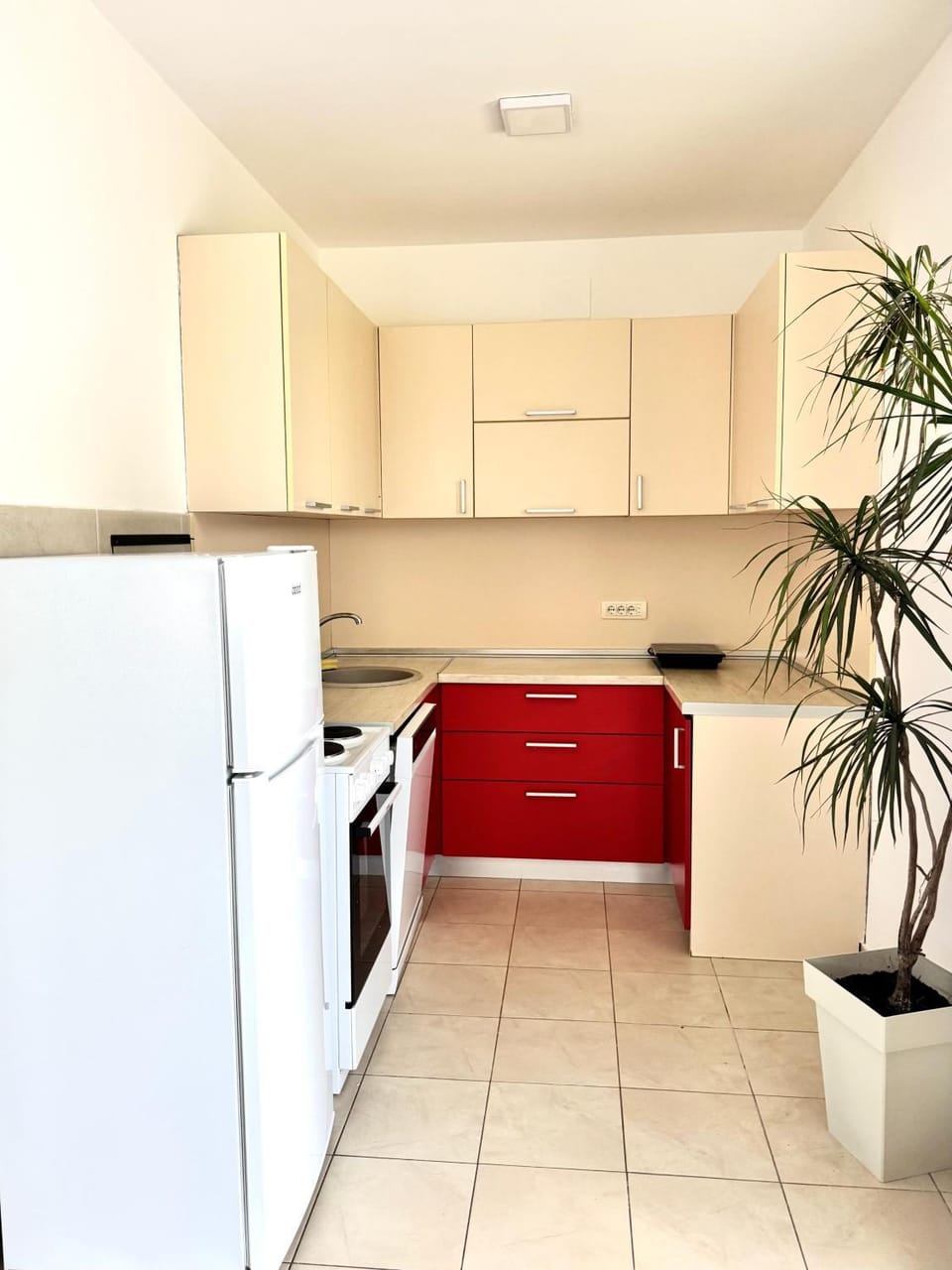 Apartman Lana Apartment in Montenegro