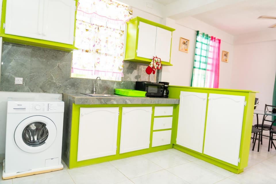 Kitchen or kitchenette, oven, stove, washing machine