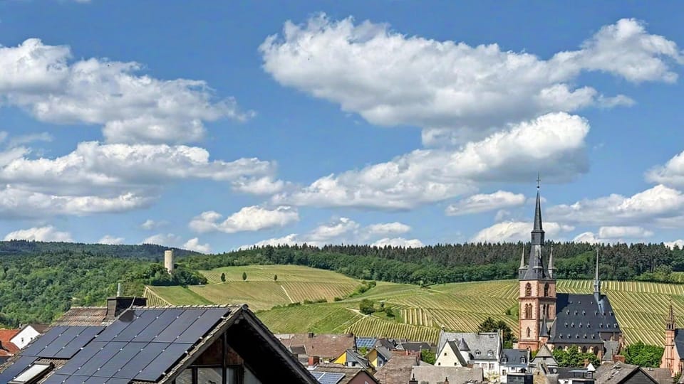 View (from property/room)