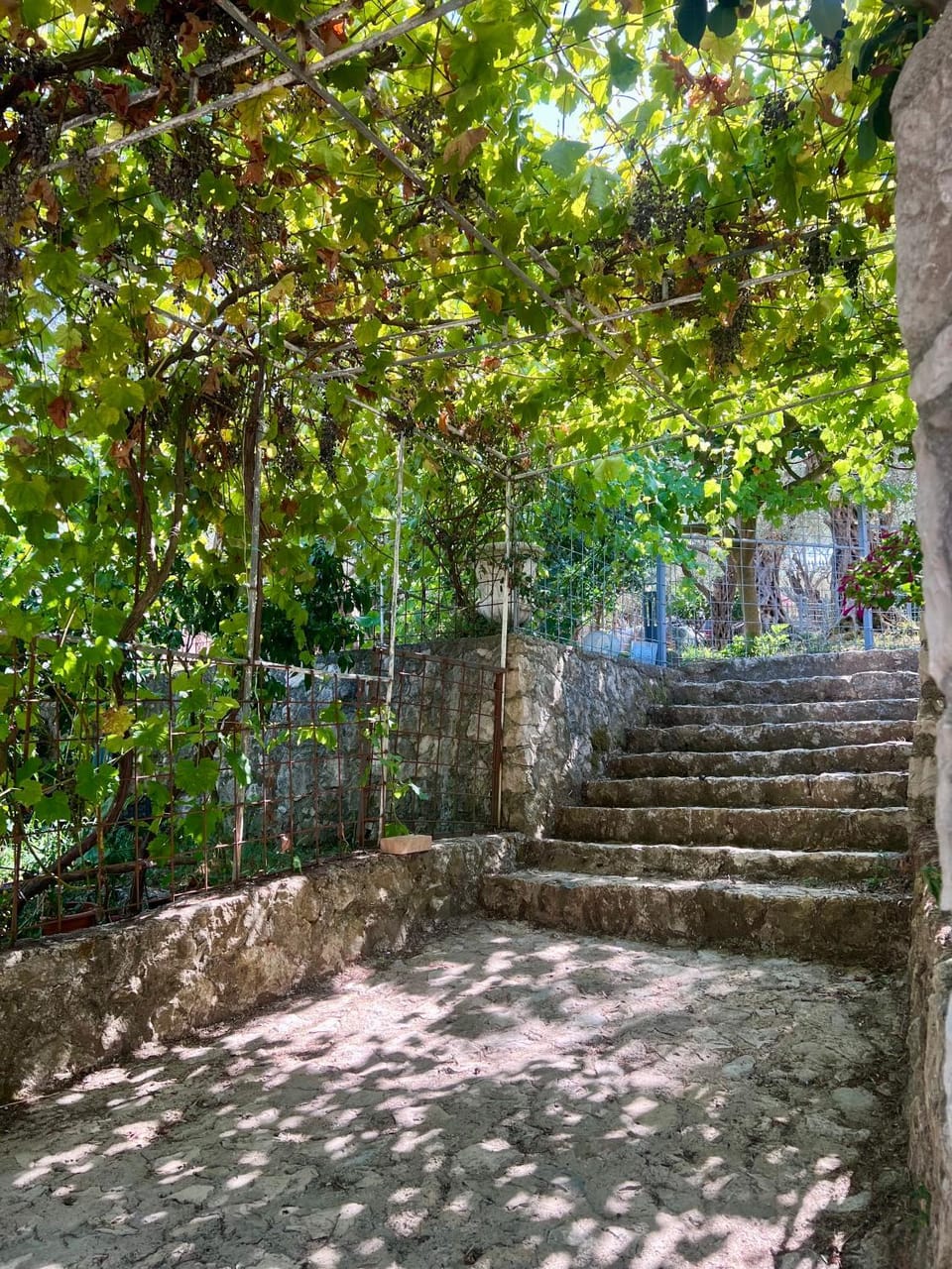 Olive Escape Villa in Ulcinj