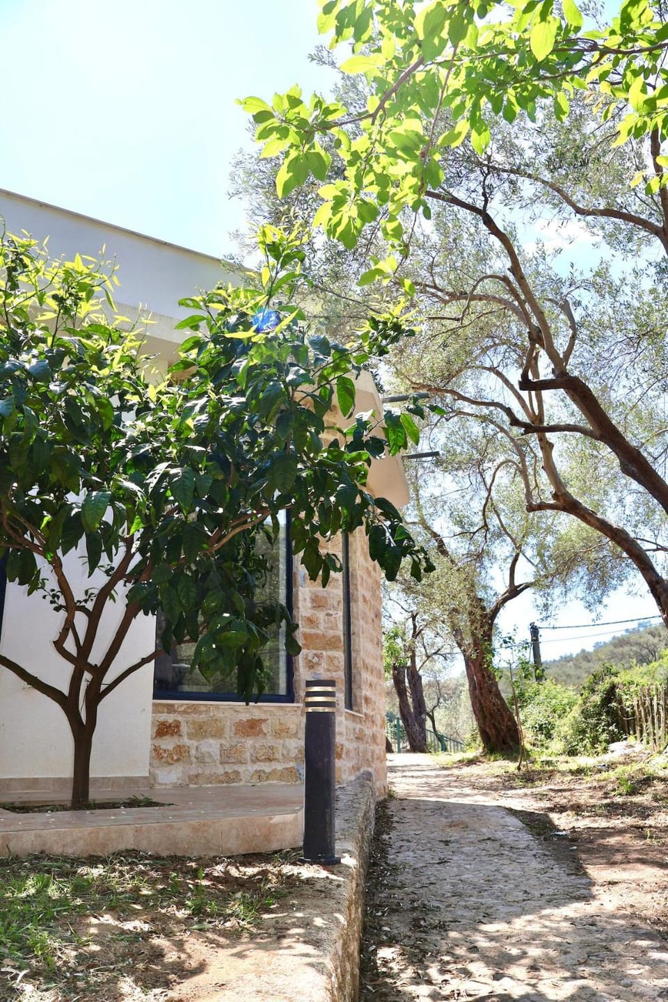 Garden view