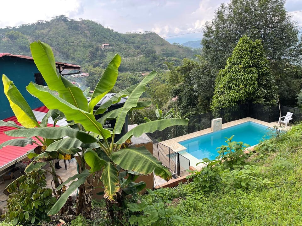 Pool view