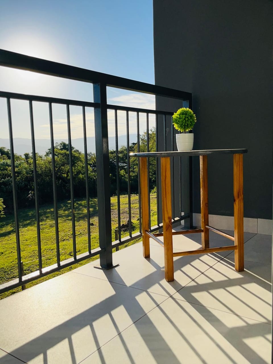 Balcony/Terrace