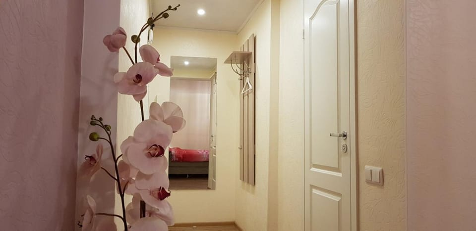 Perfect Studio in Narva center Apartment in Estonia