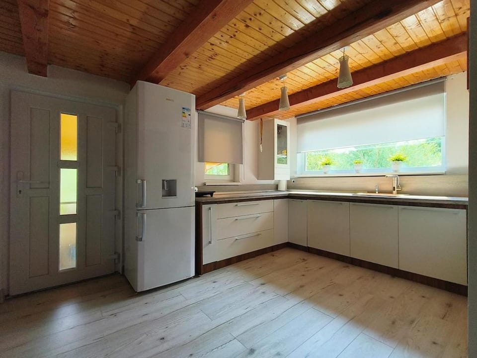 Dodo Land House in Romania