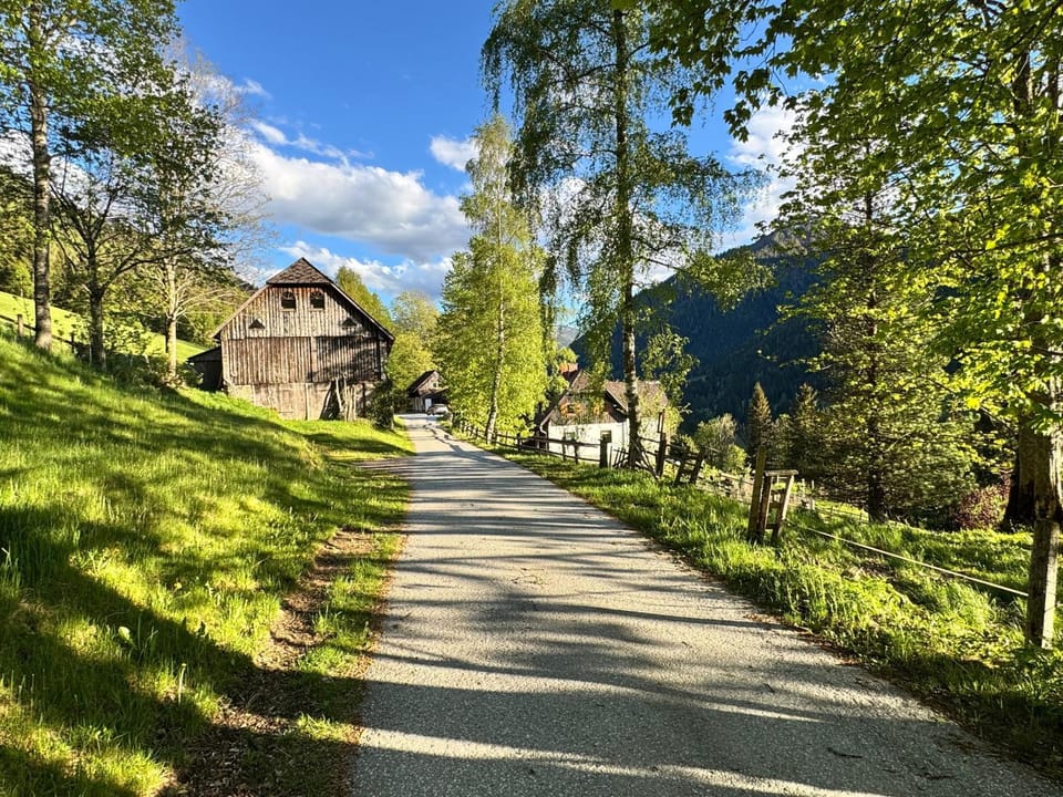 Property building, Spring, Natural landscape, View (from property/room), Street view