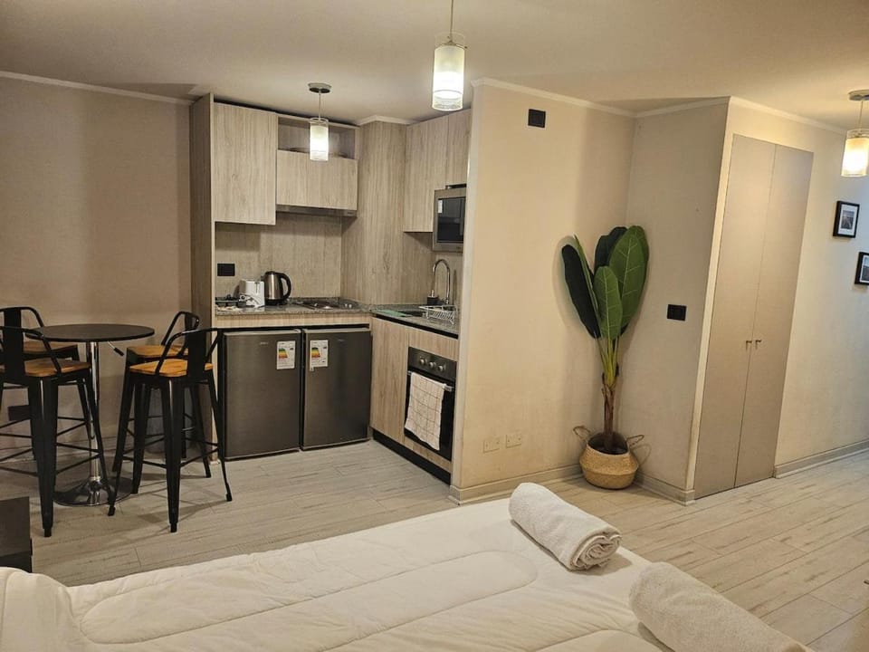 Photo of the whole room, oven, kitchen