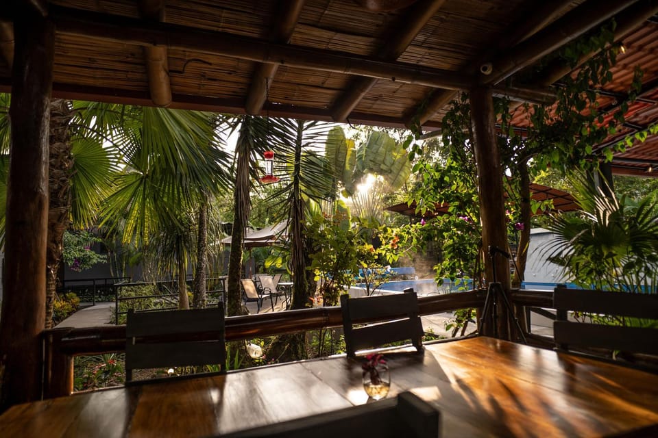 Day, Natural landscape, Garden, View (from property/room), Dining area, Garden view