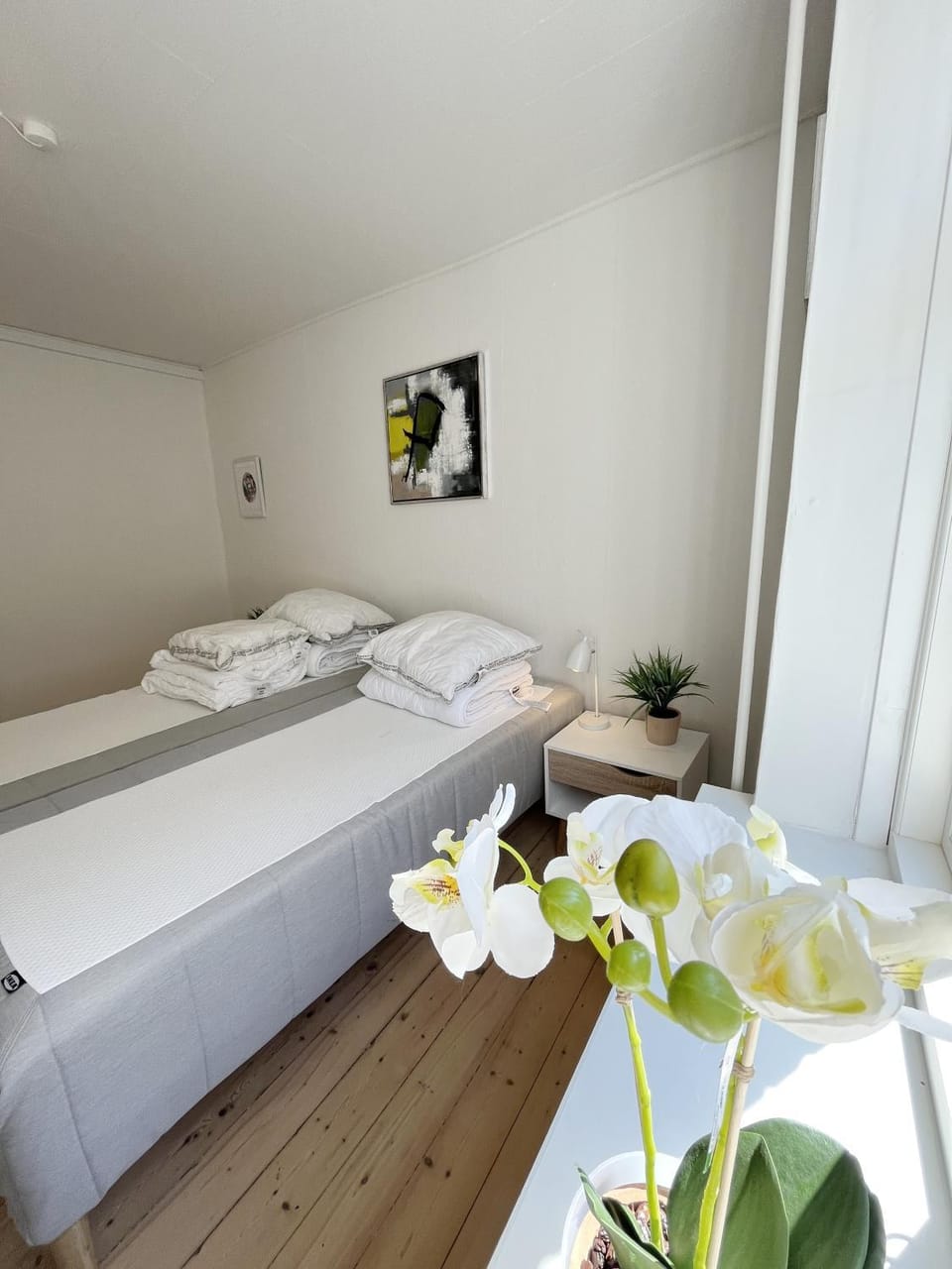 Luxurious 3 bedroom apartment near Jomfru Ane Gade Apartment in Aalborg