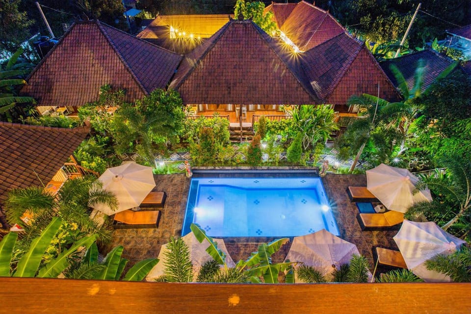 Night, Natural landscape, Garden, Garden view, Pool view, Swimming pool