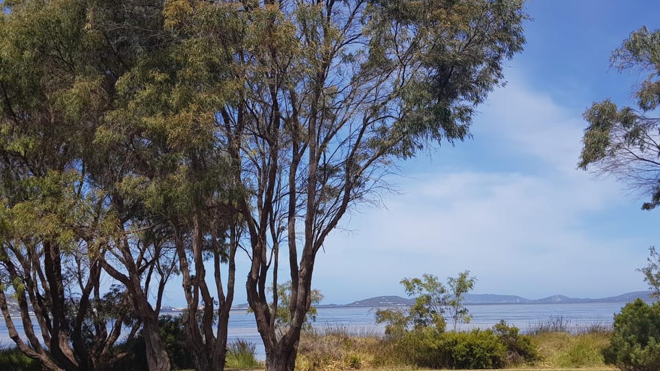 Sea view