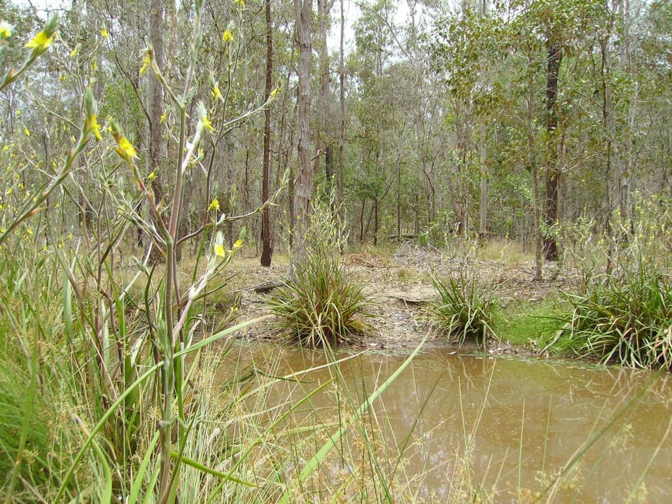 Back to the Bush Country House in Queensland