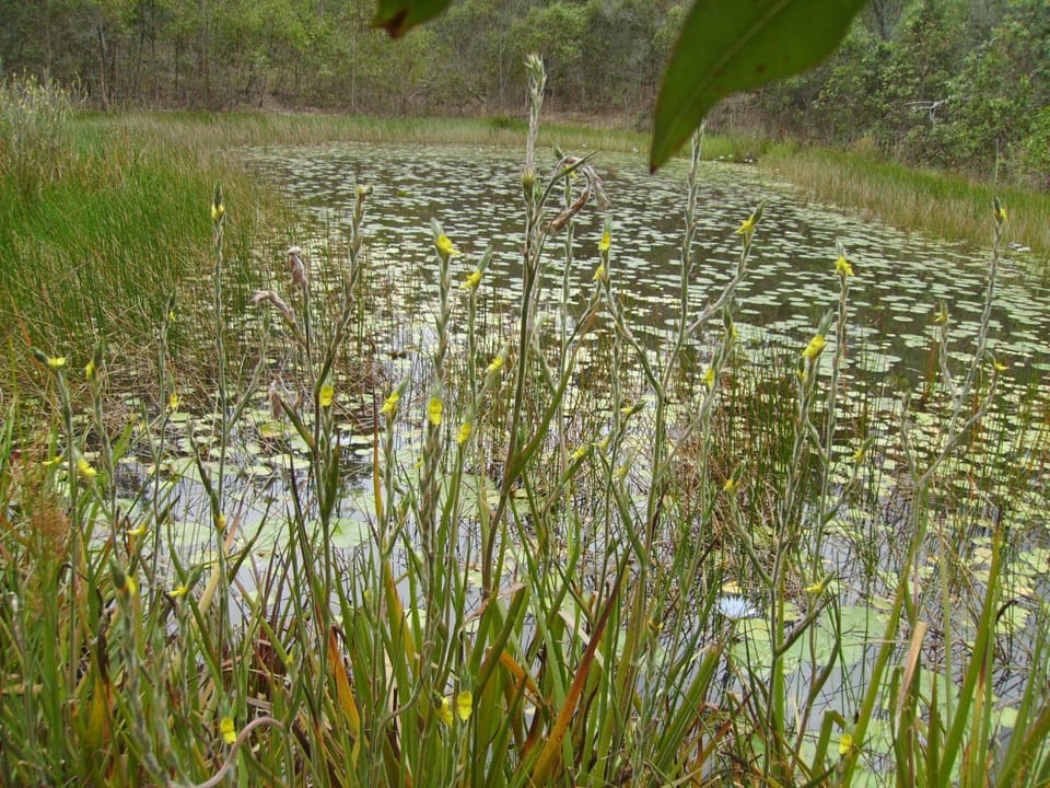 Back to the Bush Country House in Queensland